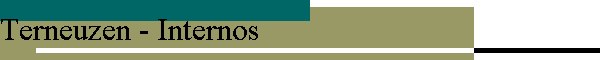 Terneuzen - Internos