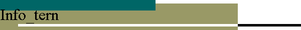 Info_tern