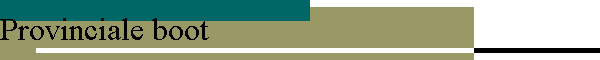 Provinciale boot